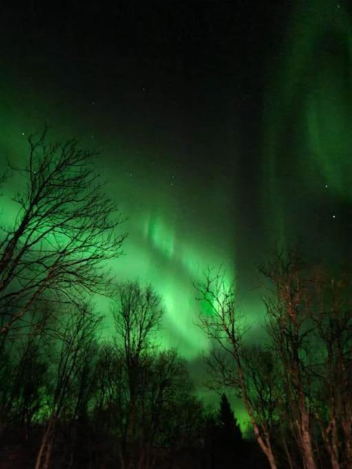 Tromso Stunning Luxury A Larseng